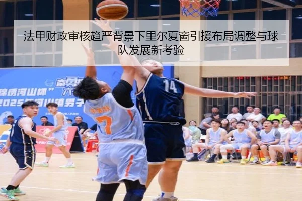 法甲财政审核趋严背景下里尔夏窗引援布局调整与球队发展新考验